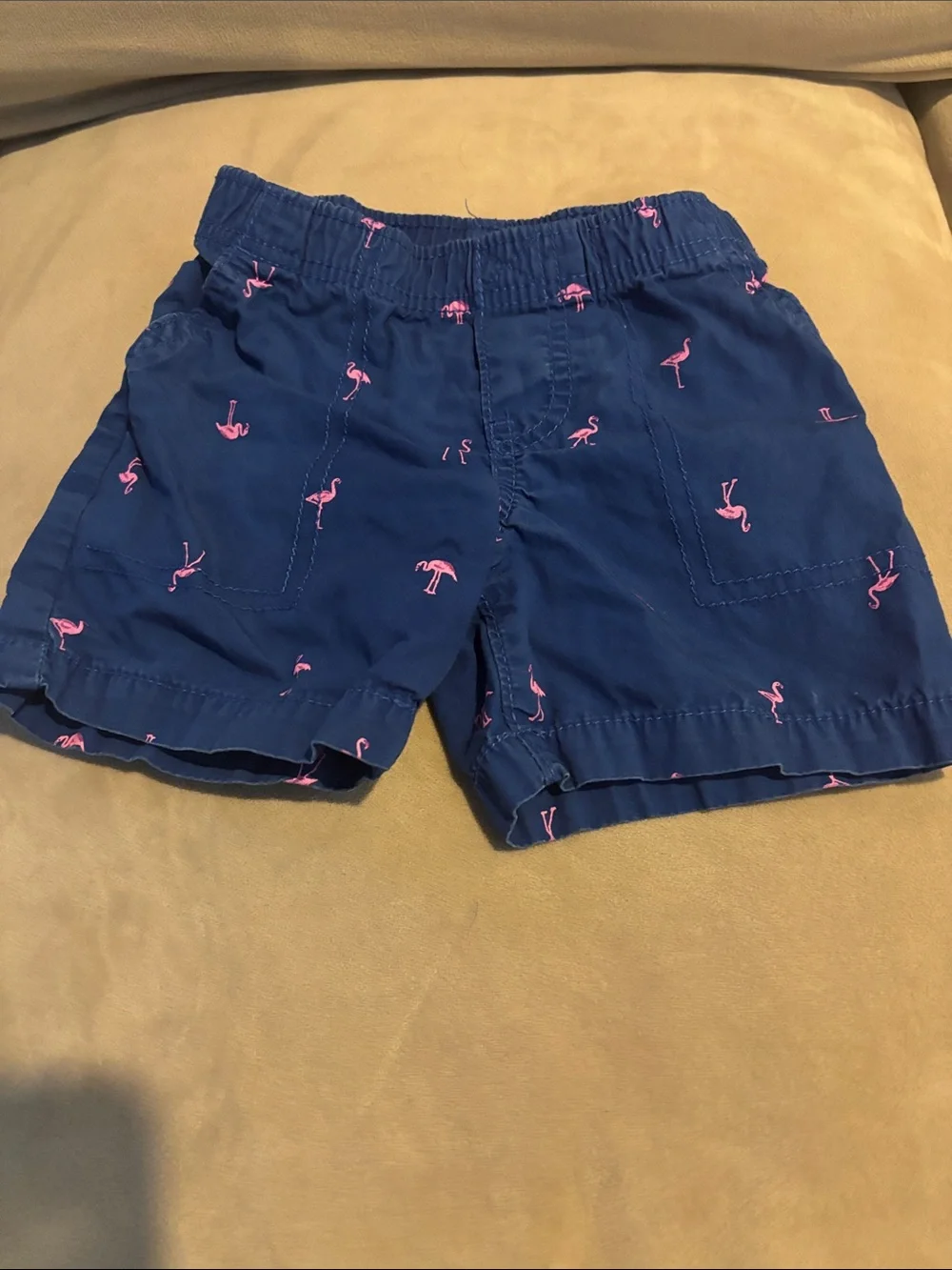 Carter's Navy Shorts with Pink Flamingo Print